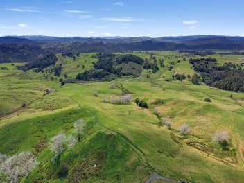 Close to Wainui - 5 Extra Titles