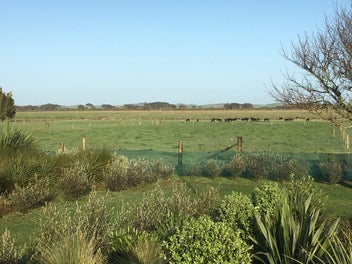 Image 1 of 50