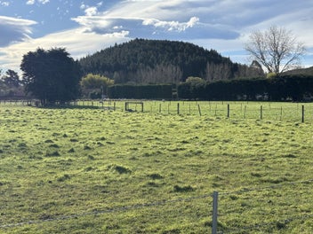 Image 1 of 11