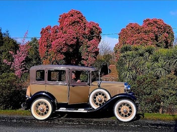 Reefton Rhododendron Cottage and sections