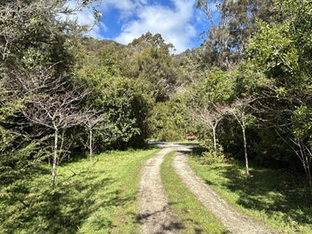Golden Bay Valley lifestyle