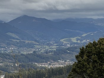 Image 1 of 23