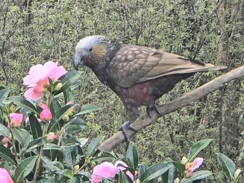 Image 1 of 50