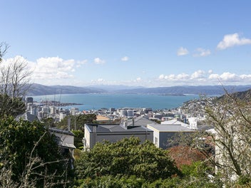 Sunny Character Home with Income and Harbour View
