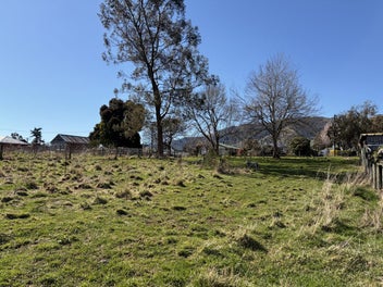 Secure Your Slice of Tapanui