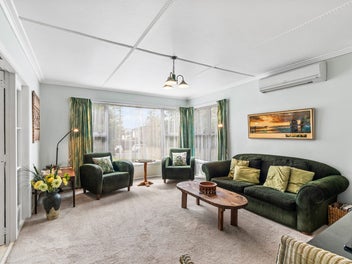 Goldmine Opportunity in Central Papatotoe