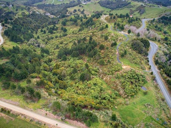 Shape Your Paparoa Rural Story