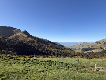 Image 1 of 50