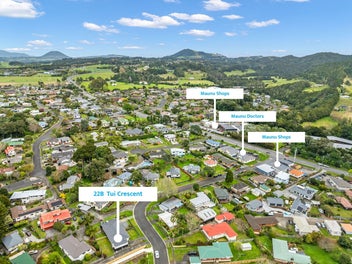 Investment opportunity - Buy one or both - Maunu