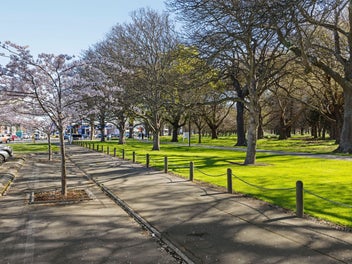 Views Over Hagley Park And The Alps