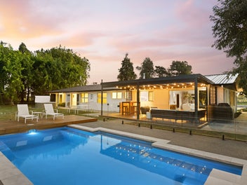 Stunning Puketaha Transformation