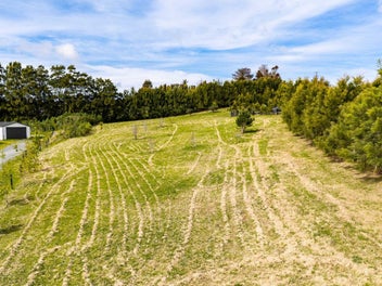 An acre of opportunity