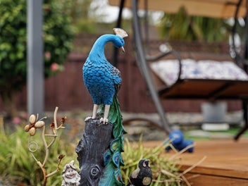 Final viewing opportunity before auction