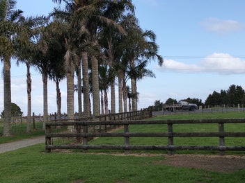 Rural Lifestyle Property