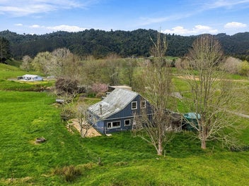 Large Lifestyle Near The Village!