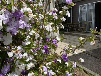 Image 1 of 10