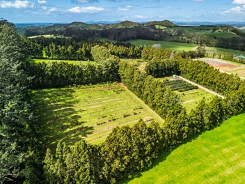 Horticulture, Lifestyle or Market Gardening