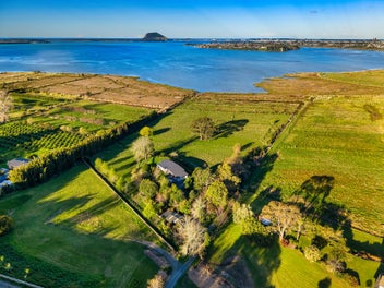 Absolute Privacy on Te Puna Waterfront