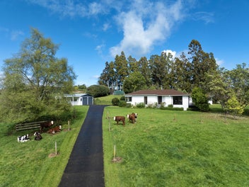 Four hectares of freedom just minutes from Drury