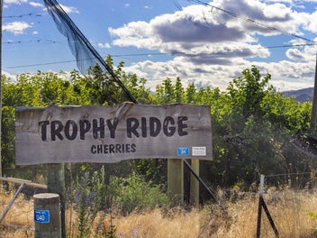 A Rare Horticultural & Lifestyle Opportunity