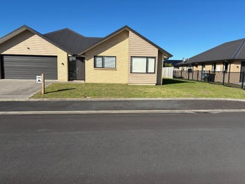 Image 1 of 12