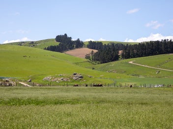 Your Rural Lifestyle Starts Here