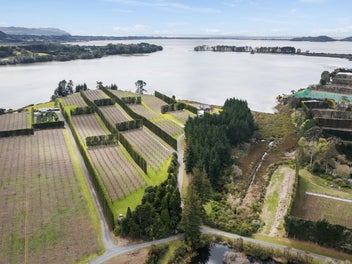 Waterfront living. Kiwifruit income. Two titles.