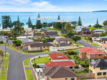 Sun, Lawn & Steps to the Sand - Orewa