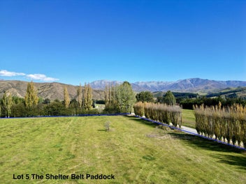 THE SHELTERBELT PADDOCK