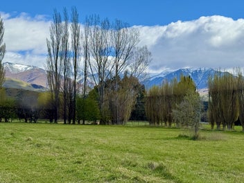 Image 1 of 15