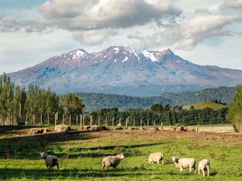 Distinctive Estate. 8.2285 hectares (+ GST if any)