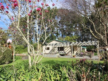 Image 1 of 50