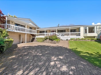Rare Land, Rich Character: an Omokoroa Gem