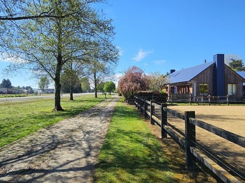 Mandeville Oasis
