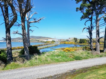 Bush, Birds & Bluff Views