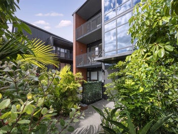 Affordable & Modern Entry in Onehunga