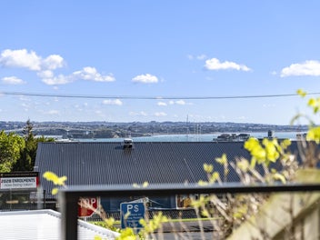 Urban Oasis with Views