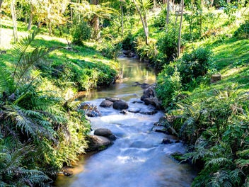 Organic river oasis, Kerikeri