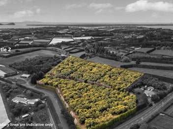 Ideal Kiwifruit Conversion or Lifestyle, 14Ha