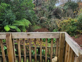 Image 1 of 10