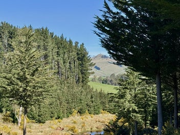GOLD COUNTRY ESCAPE