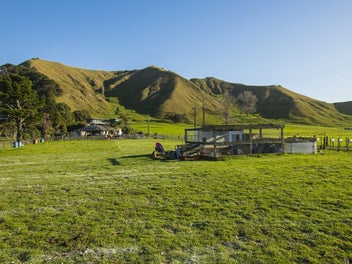 A rare slice of Wainui