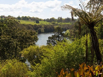 Life Above The River
