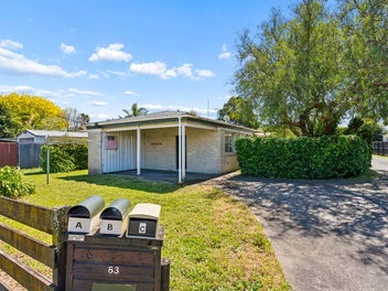 Re-develop, Rent or Reno, prime location!
