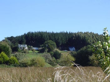 Historic Coastal Lifestyle - Two homes on 25 acres