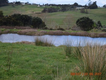 Image 1 of 12