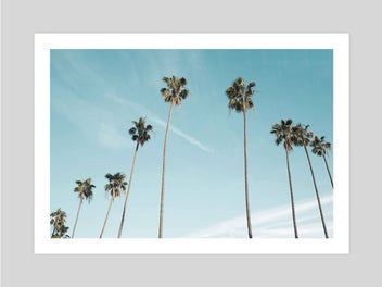 Image 1 of 12