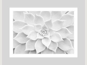 Image 1 of 14