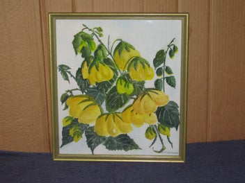 Image 1 of 9