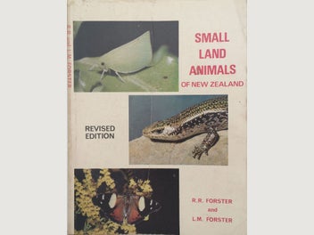 Image 1 of 9